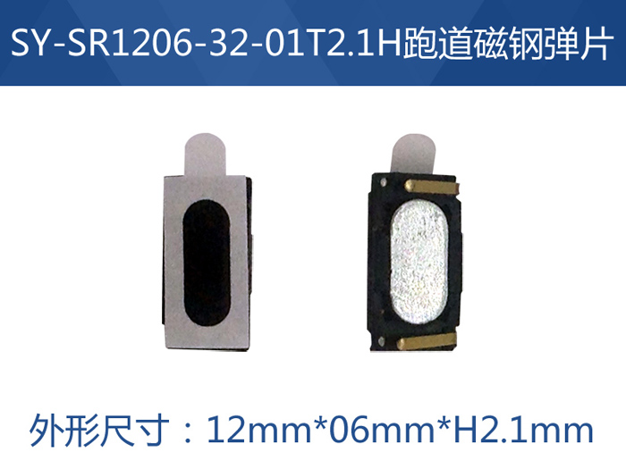 SY-SR1206-32-01T2.1H跑道磁钢弹片